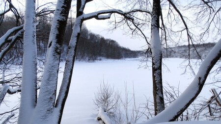 Природа Смоленщины 