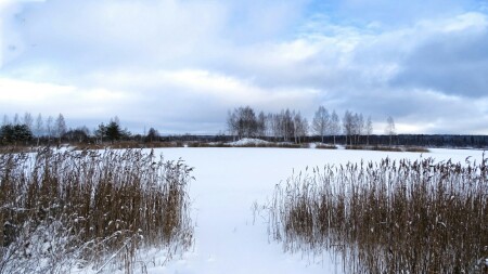 Природа Смоленщины 