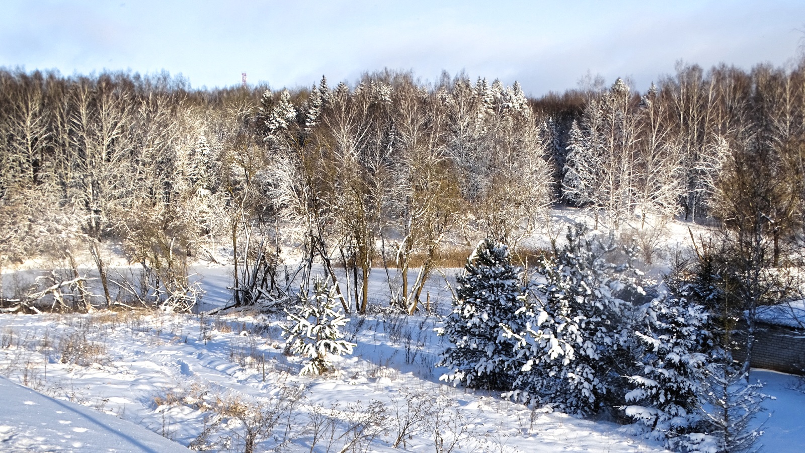 Природа Смоленщины 