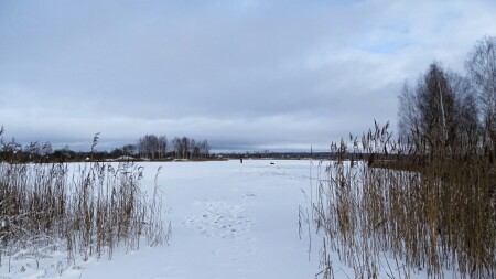 Природа Смоленщины 