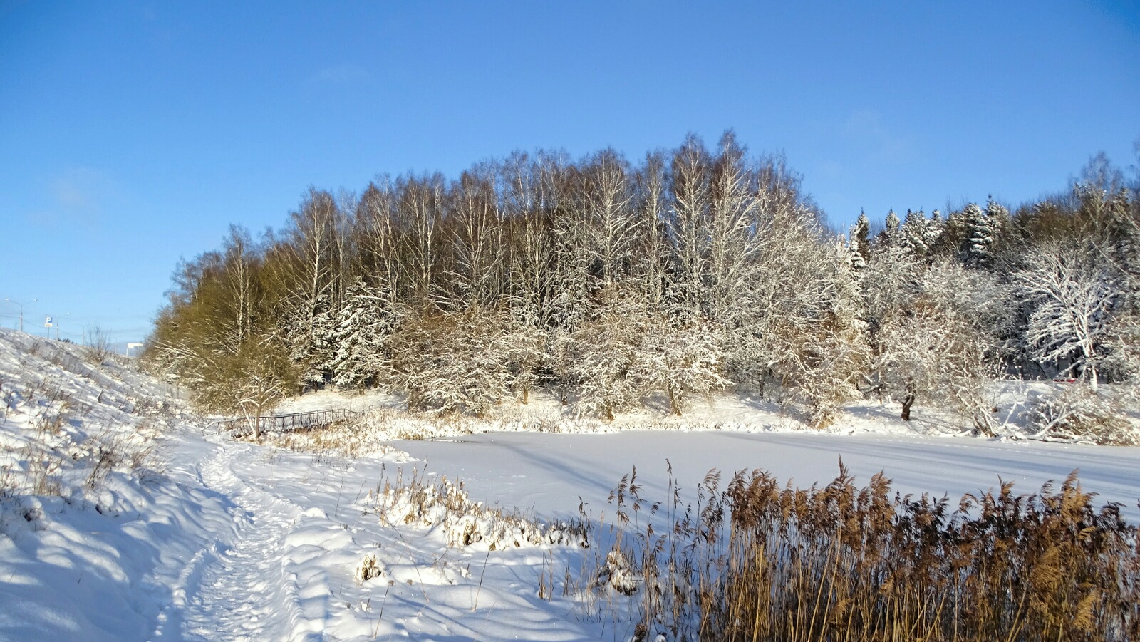 Природа Смоленщины 