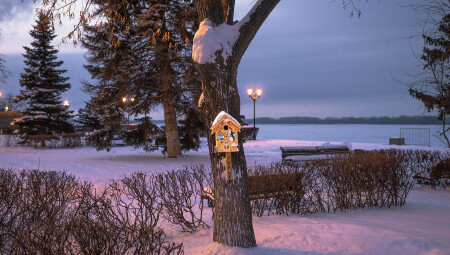 Новогодний вечер