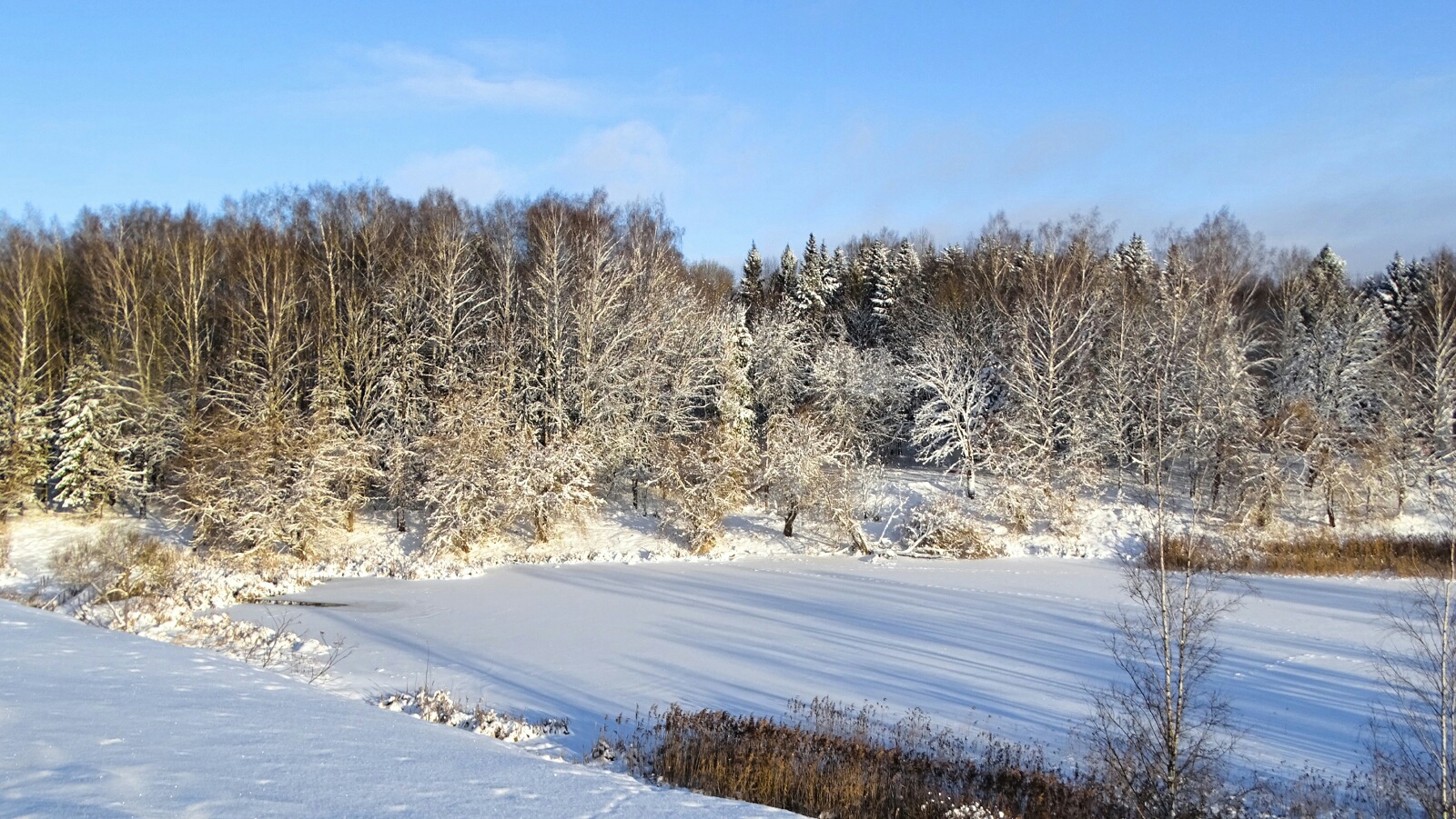 Природа Смоленщины 