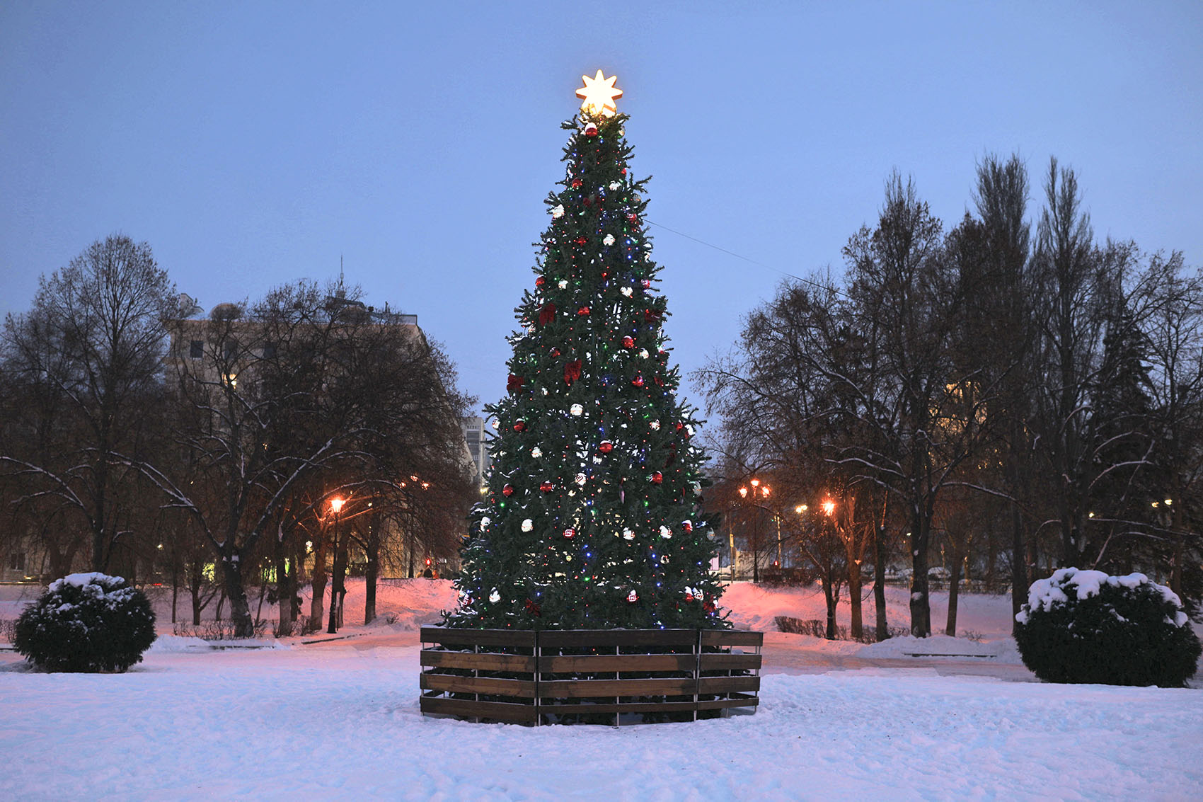 Новогодняя ёлка