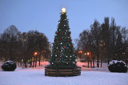 Новогодняя ёлка