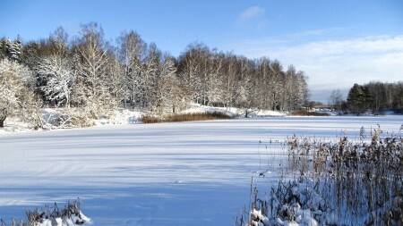 Природа Смоленщины 