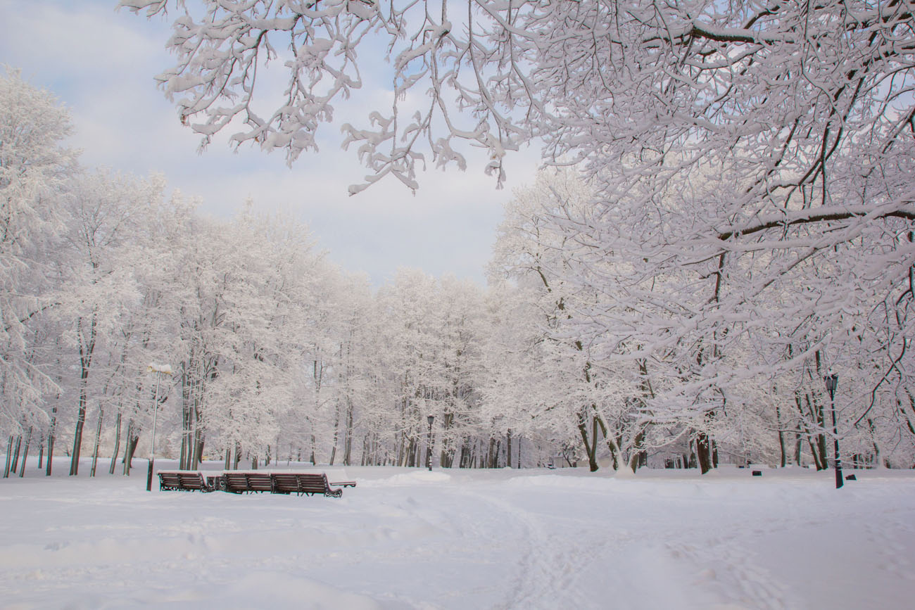 зимний пейзаж