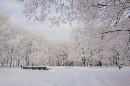 зимний пейзаж