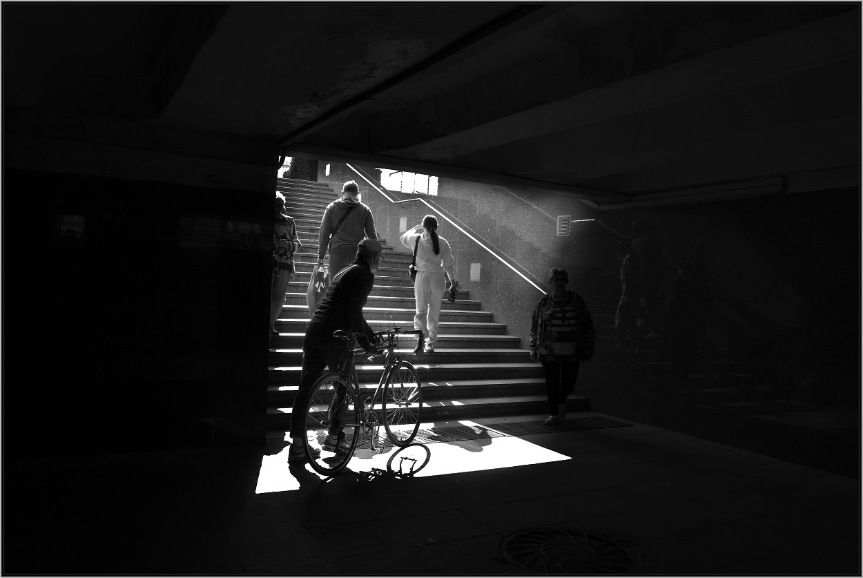 ..... Иди за белым кроликом .....