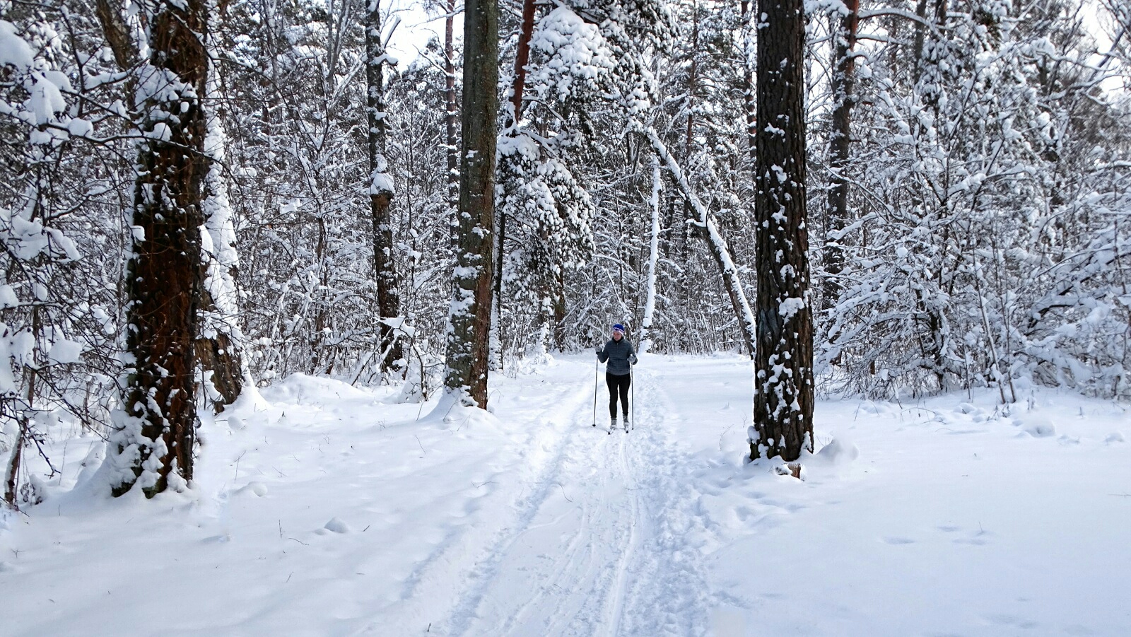 Много снега, температура воздуха -2°.