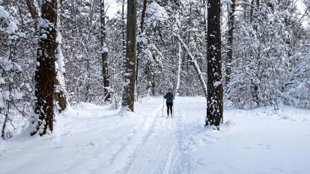 Много снега, температура воздуха -2°.