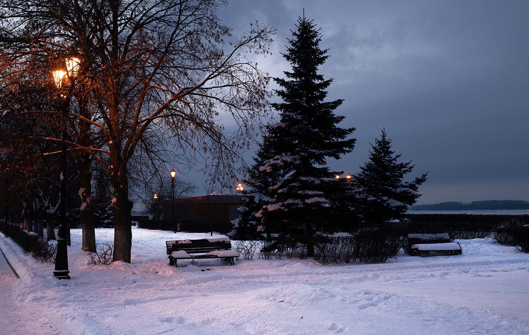 Новогодние ёлки