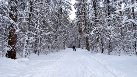 Природа Смоленщины 