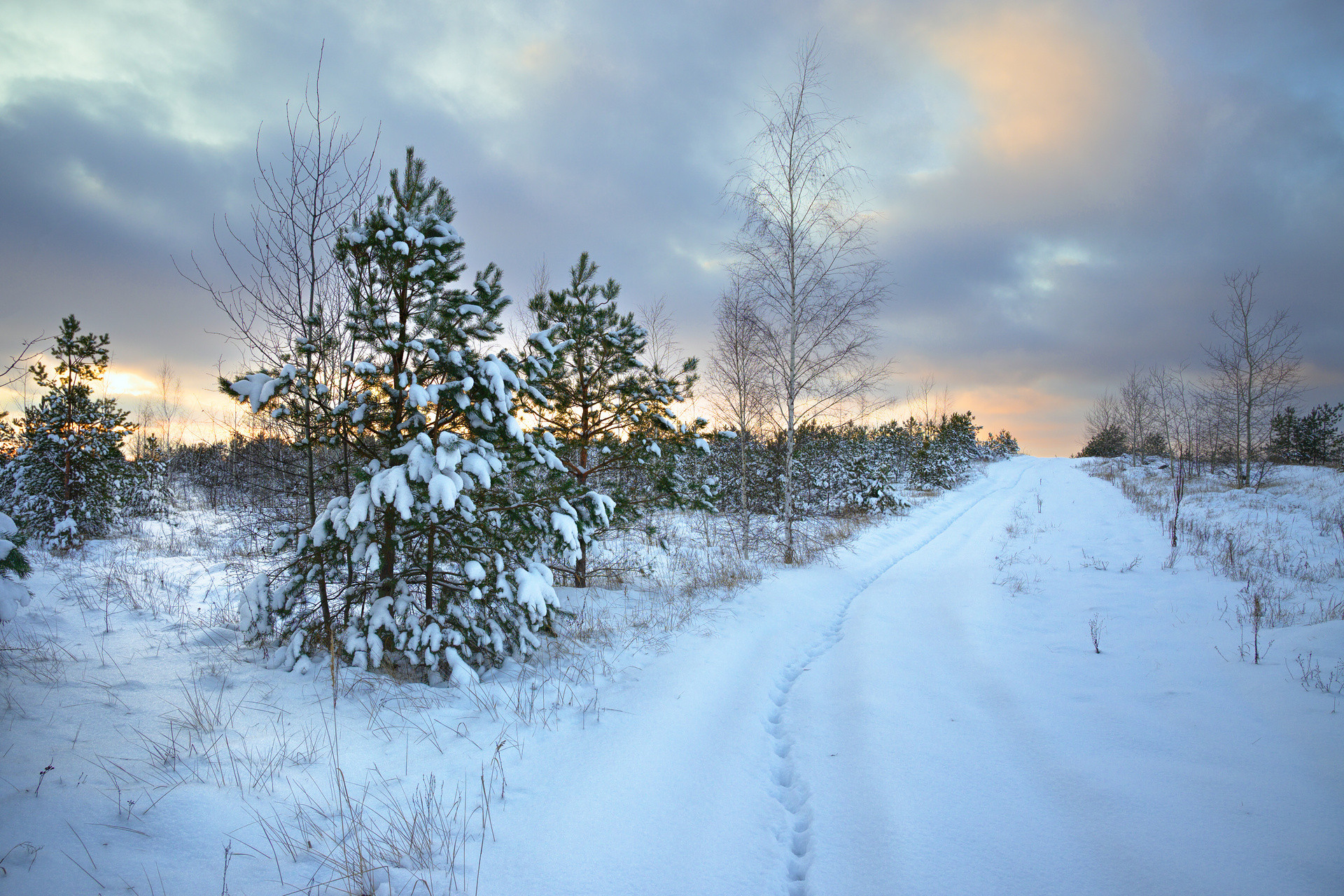 Там на заснеженных дорожках, следы... 