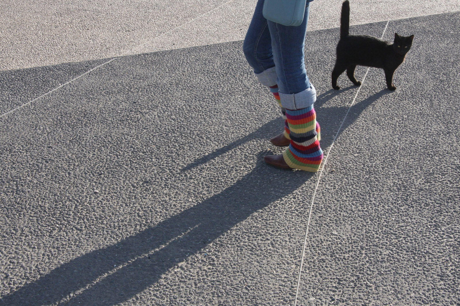 Ноги и коты