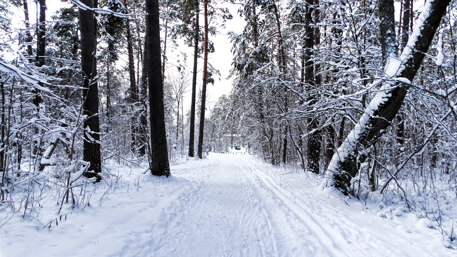 Природа Смоленщины 