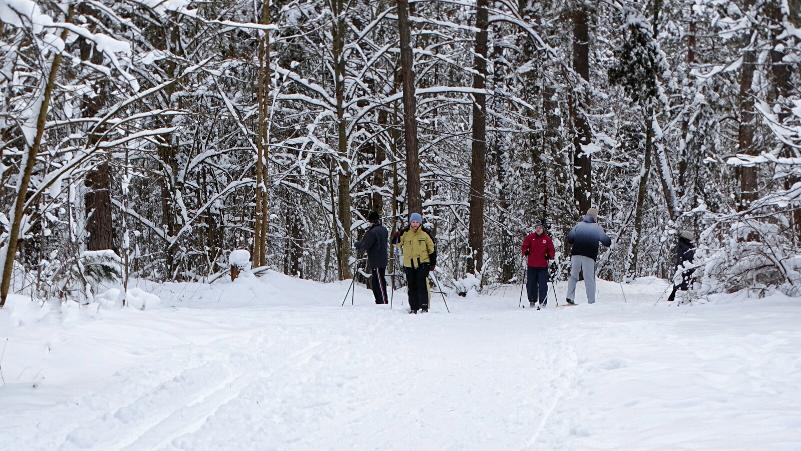 Природа Смоленщины 