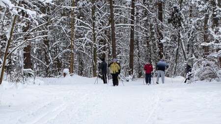 Природа Смоленщины 