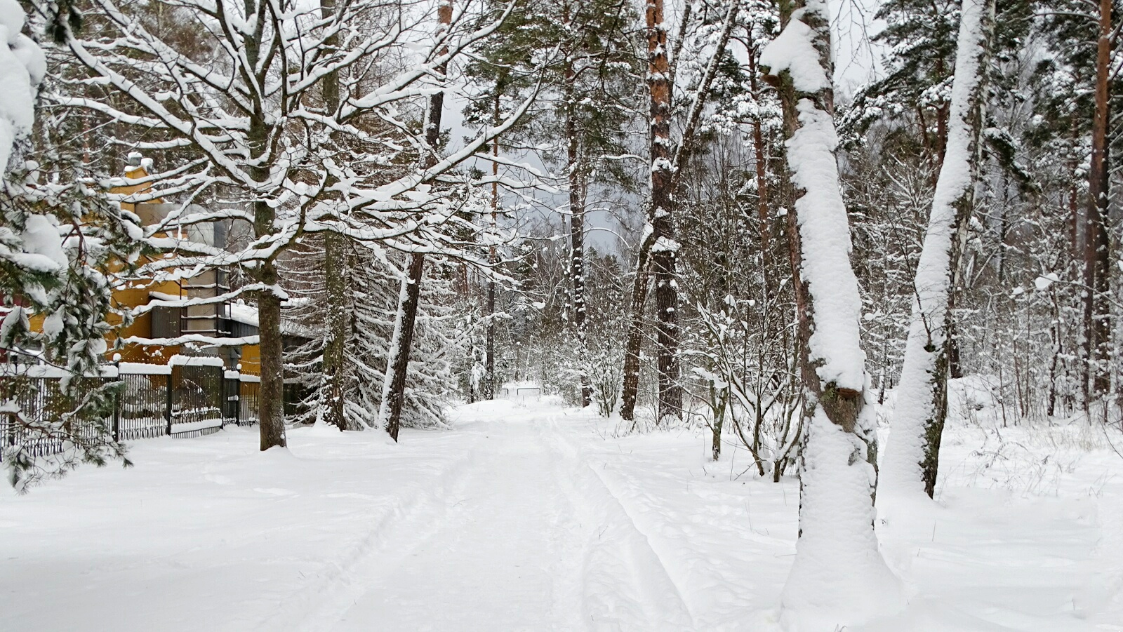 Природа Смоленщины 