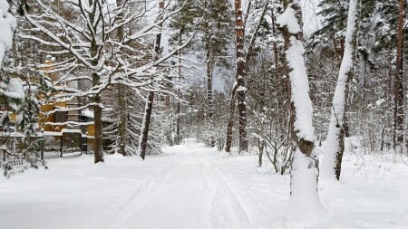 Природа Смоленщины 