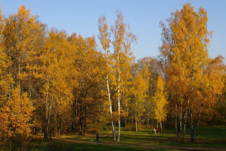 Новознаменка