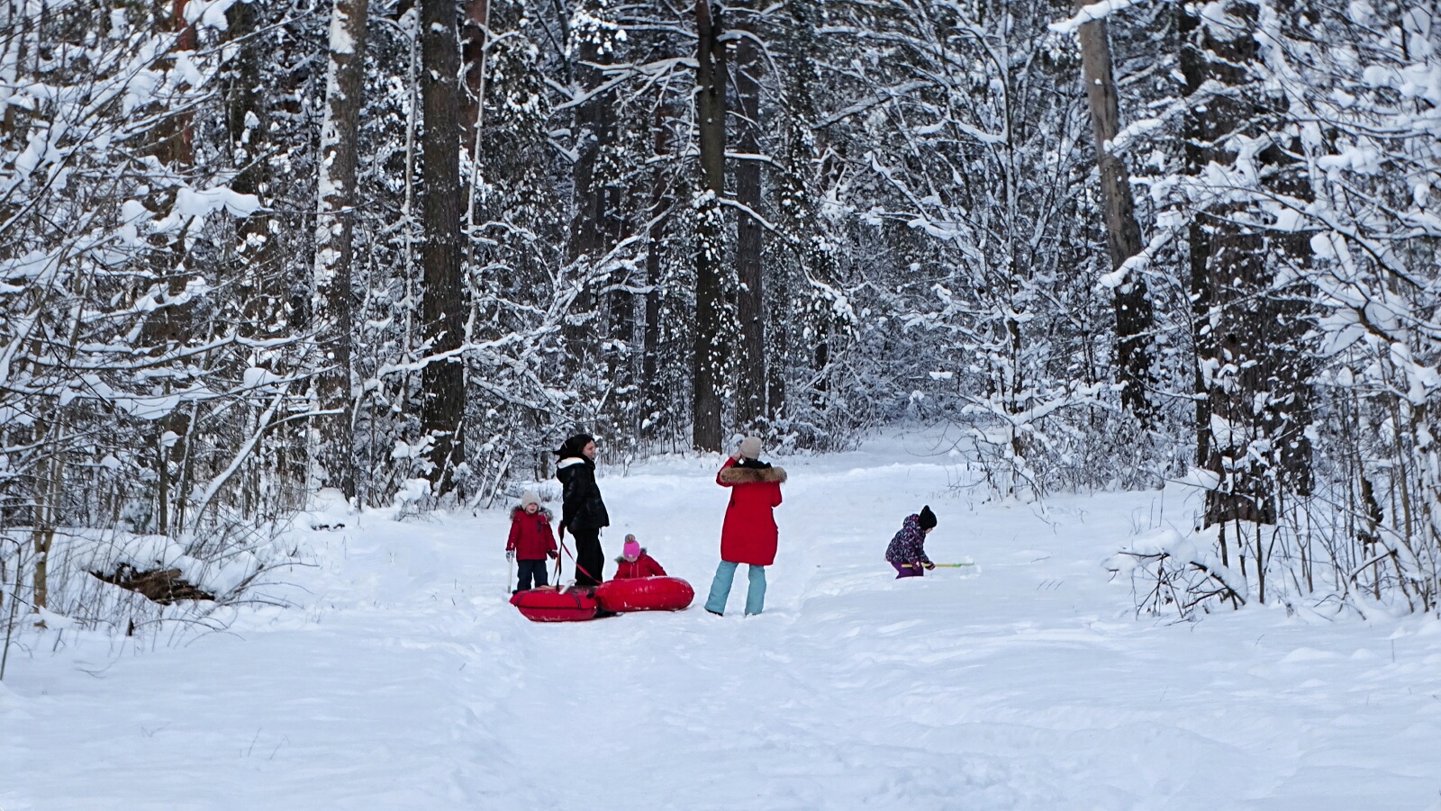 Природа Смоленщины 