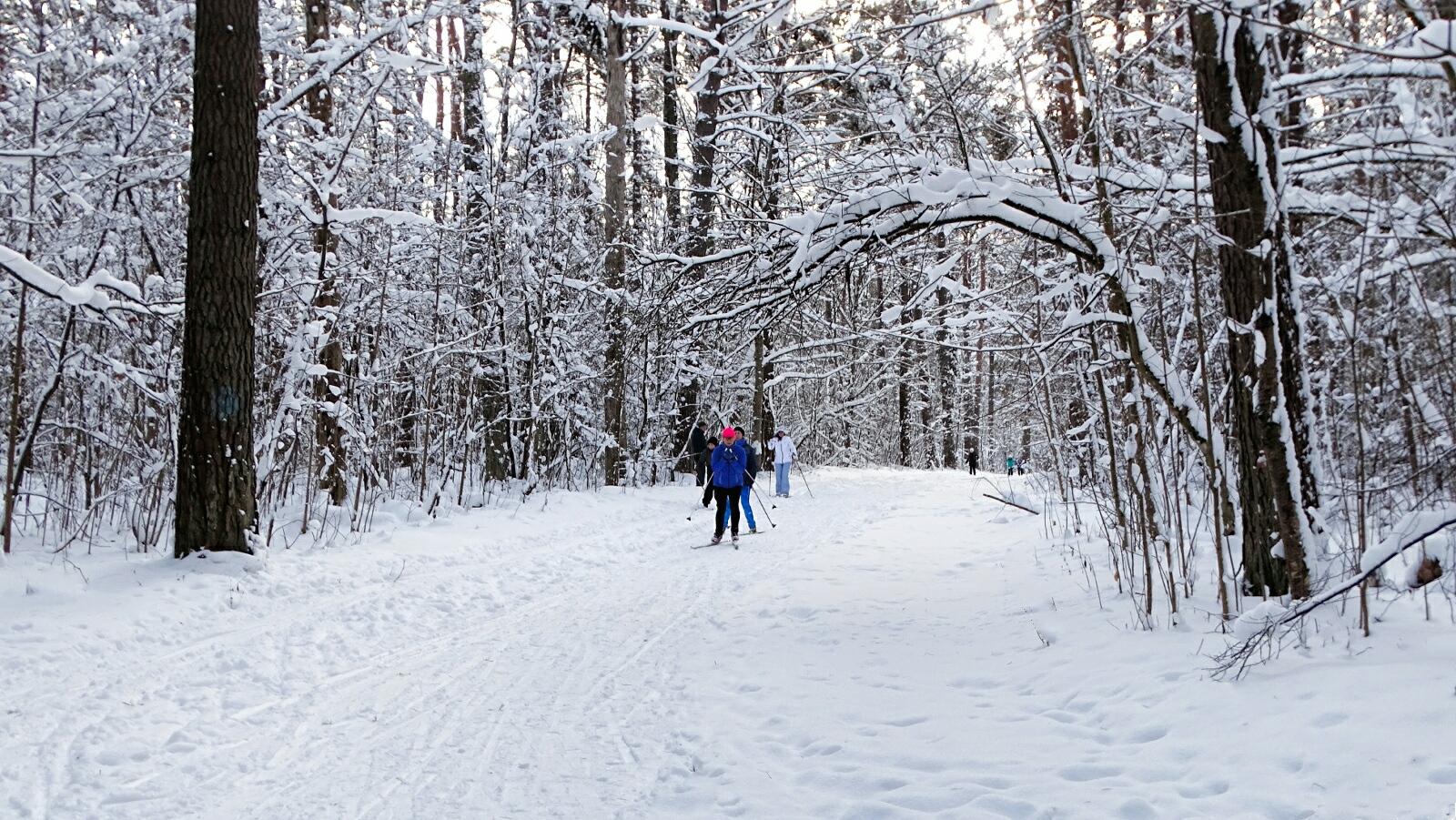 Природа Смоленщины 