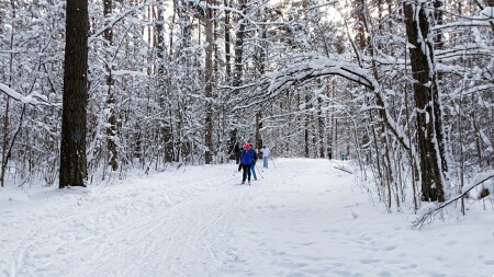 Природа Смоленщины 