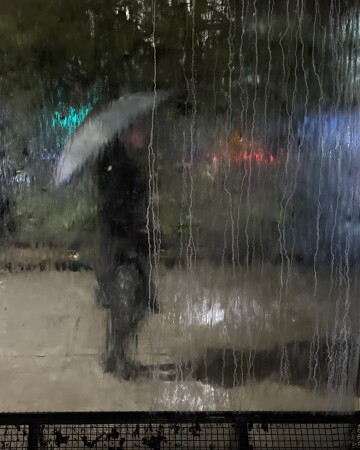 Дожди, дожди…