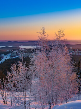 Розовое утро 