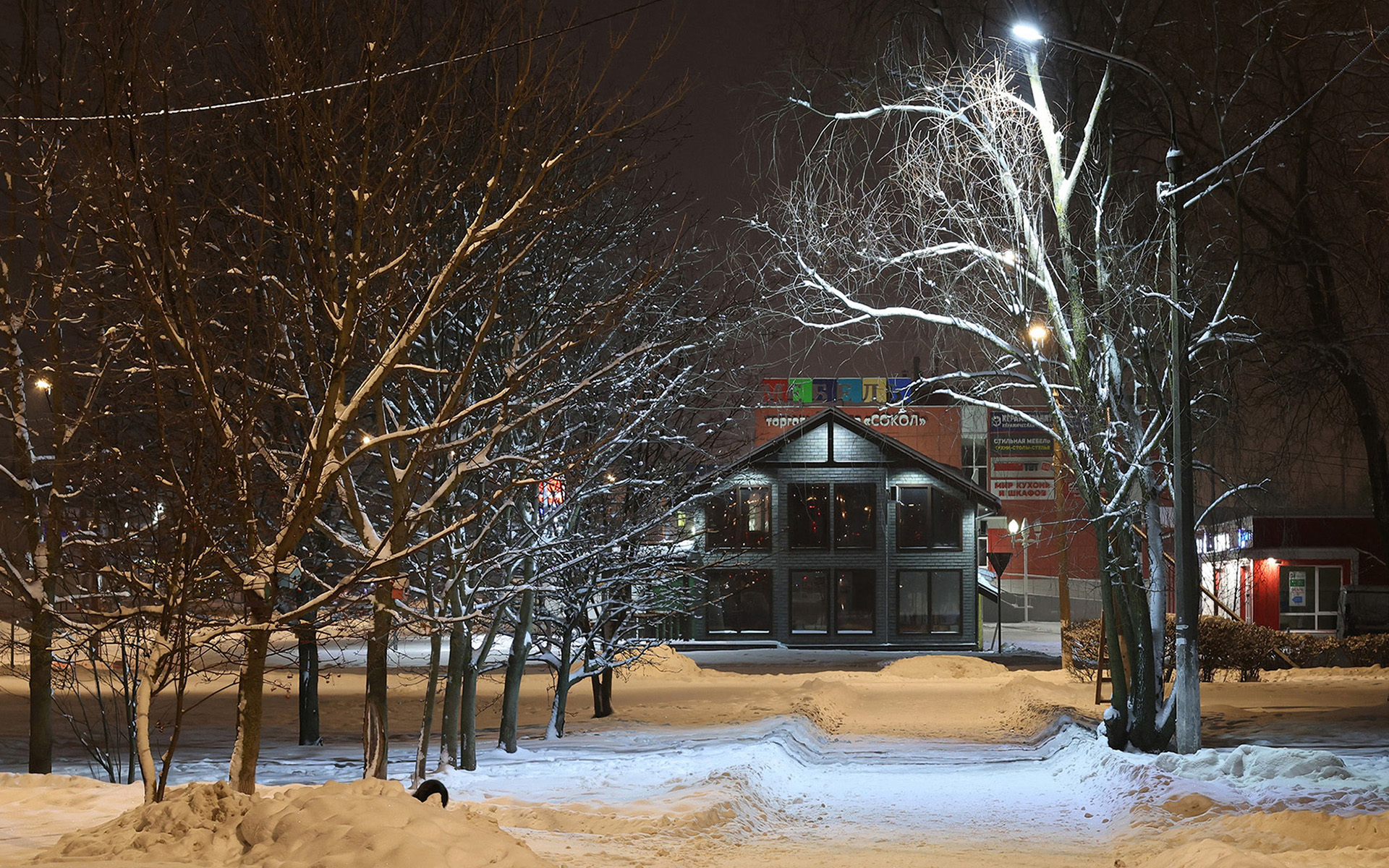 Первый день зимы 2025-го года.