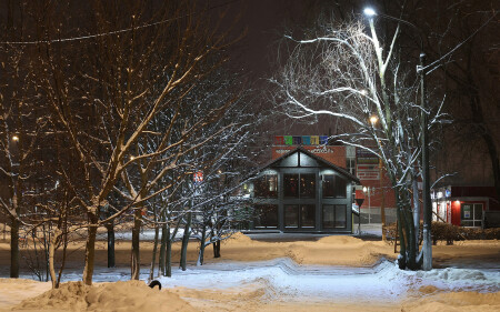 Первый день зимы 2025-го года.