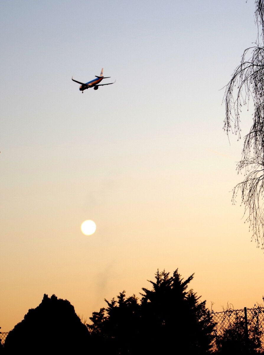 Морозное утро Лондон -2 по С 