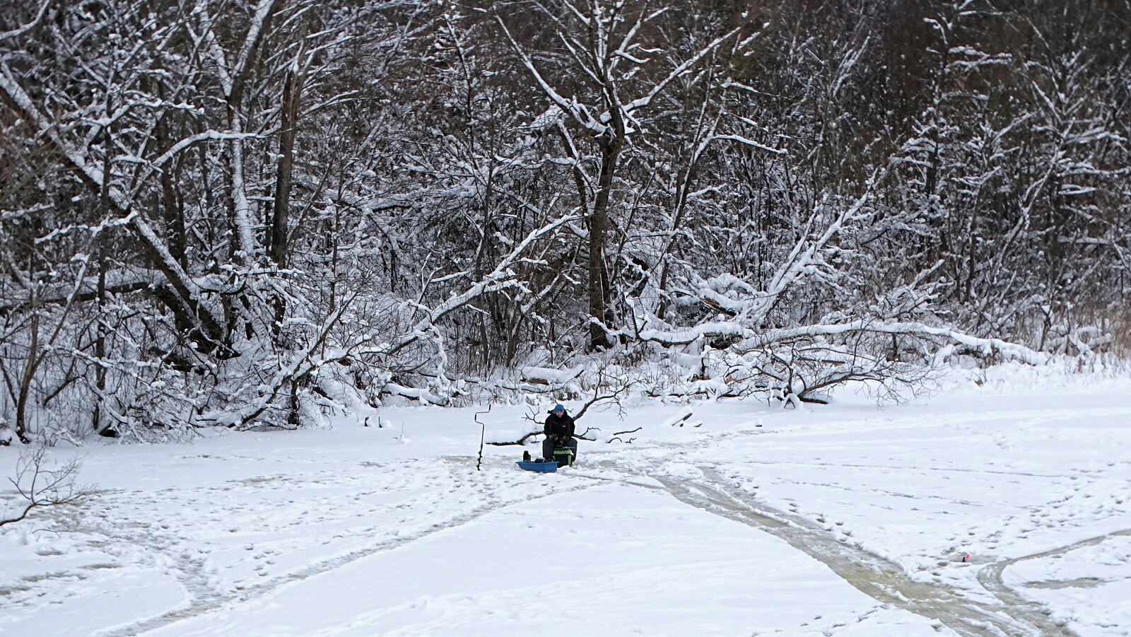 Природа Смоленщины 