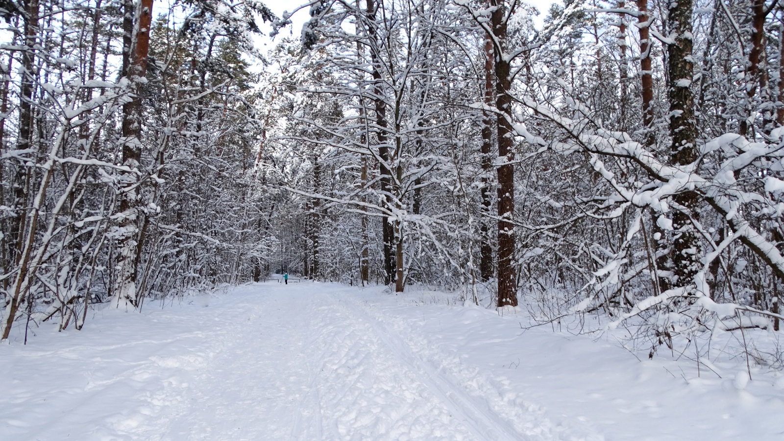 Природа Смоленщины 