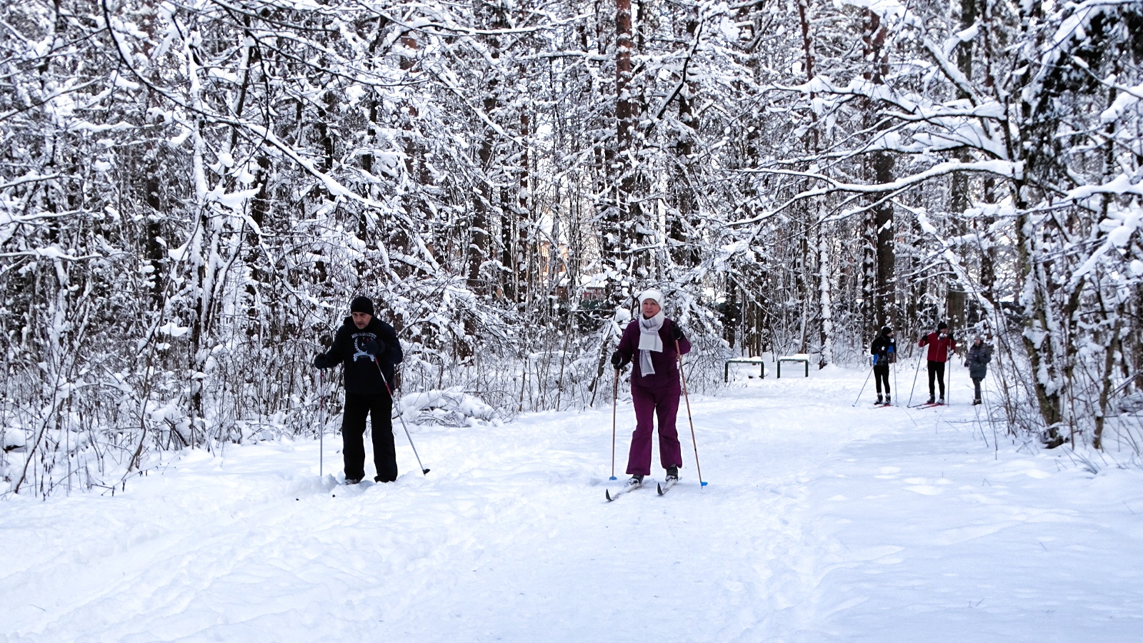 Природа Смоленщины 