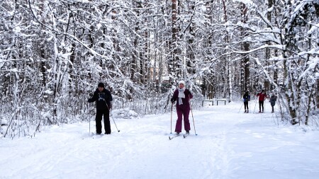 Природа Смоленщины 