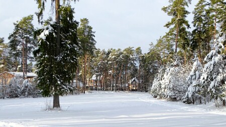 Природа Смоленщины 