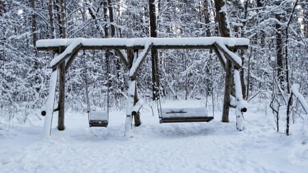 Природа Смоленщины 