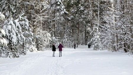 Природа Смоленщины 