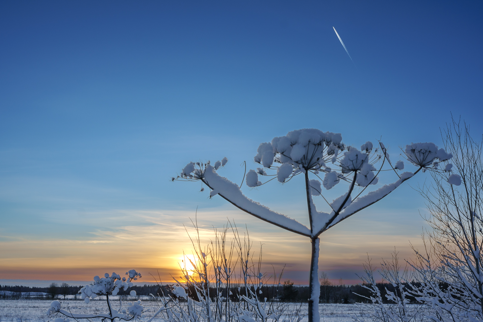 Зимний закат в деревне