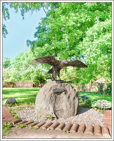 Сокол-символ княжеской власти