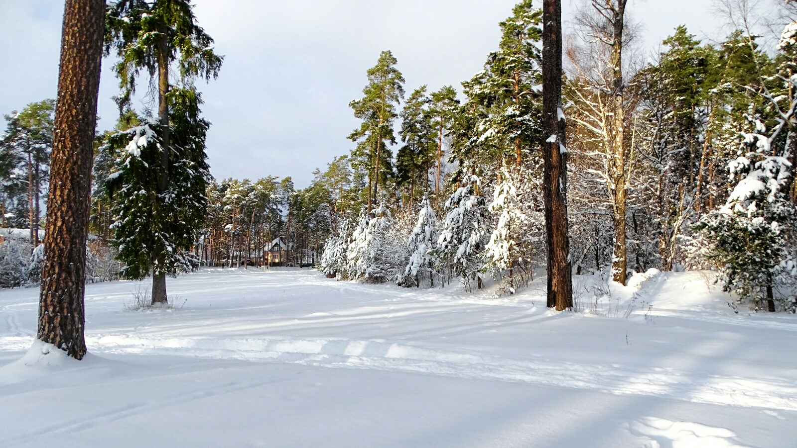 Природа Смоленщины 