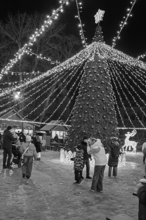 Вечером в парке