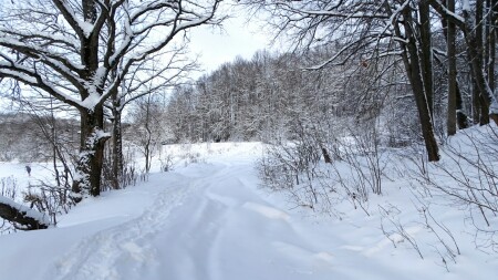 Природа Смоленщины 