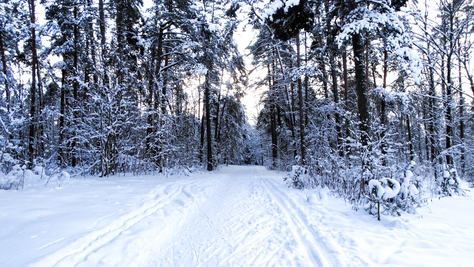 Природа Смоленщины 