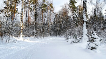 Природа Смоленщины 