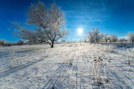 Мороз и солнце утром. Зимний фотопейзаж