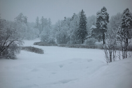 Зимний сюжет