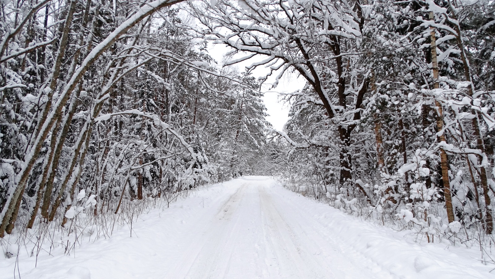 Природа Смоленщины 